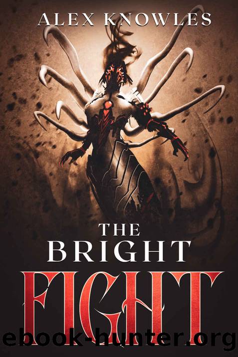 The Bright Fight by Alex Knowles