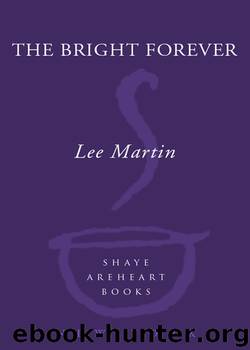 The Bright Forever by Lee Martin