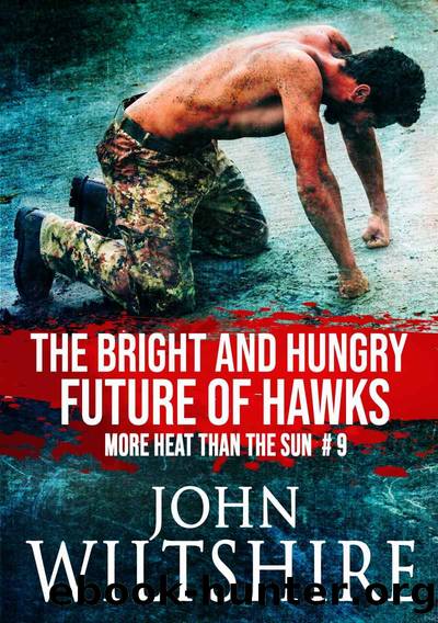 The Bright and Hungry Future of Hawks (More Heat Than The Sun Book 9) by John Wiltshire