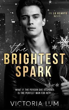The Brightest Spark: An Unrequited Love, Enemies to Lovers, Forced Proximity Romance by Victoria Lum