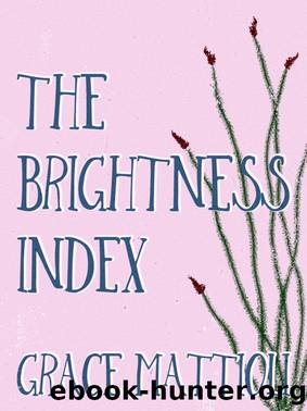 The Brightness Index by Grace Mattioli