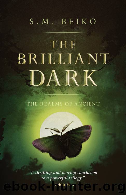 The Brilliant Dark by S.M. Beiko
