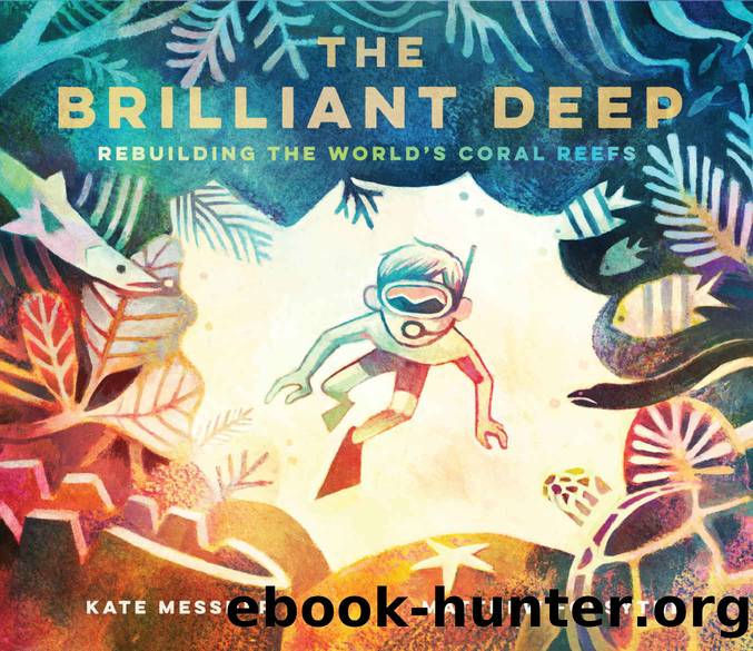 The Brilliant Deep by Messner Kate