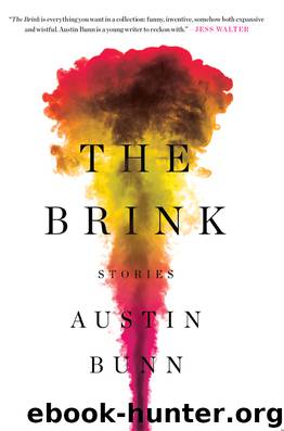 The Brink by Austin Bunn