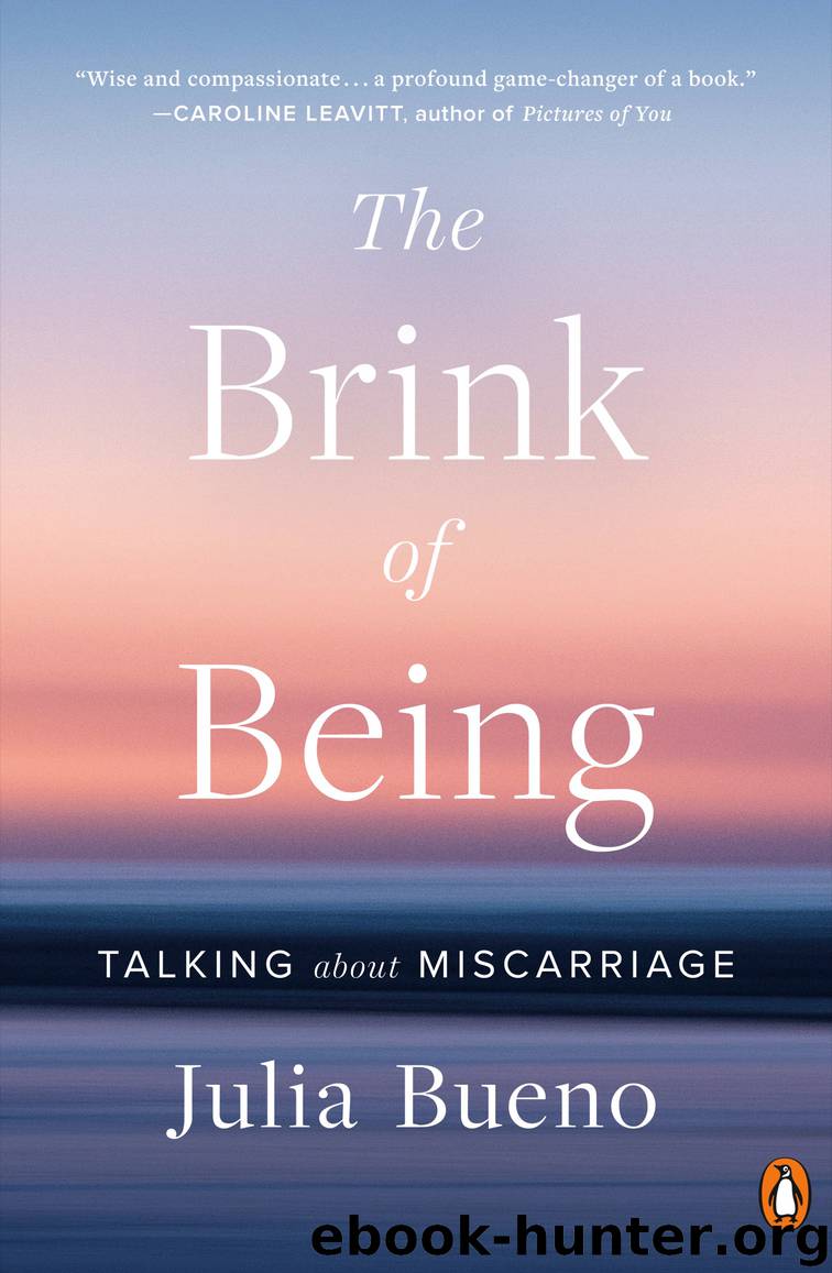 The Brink of Being by Julia Bueno