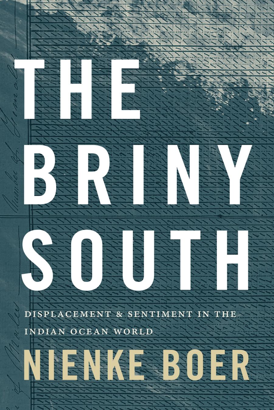 The Briny South: Displacement and Sentiment in the Indian Ocean World by Nienke Boer