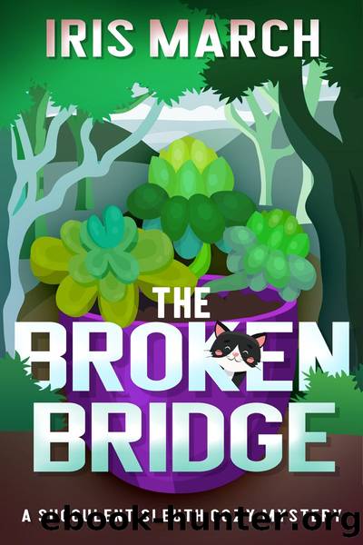 The Broken Bridge by Iris March