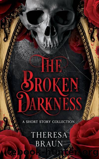The Broken Darkness by theresa a braun