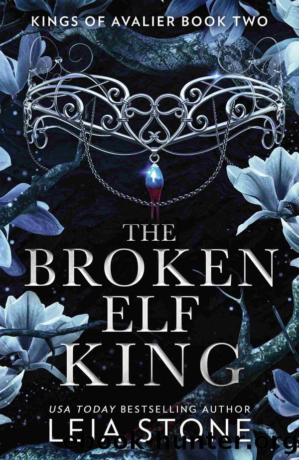 The Broken Elf King by Leia Stone