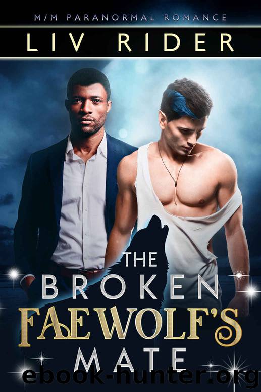 The Broken Faewolf’s Mate by Rider Liv