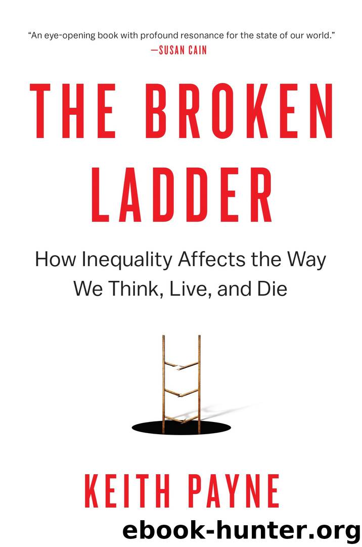 The Broken Ladder by Keith Payne