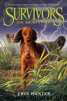 The Broken Path by Erin Hunter