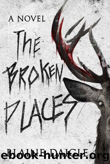 The Broken Places: A Novel by Blaine Daigle & Wicked House Publishing