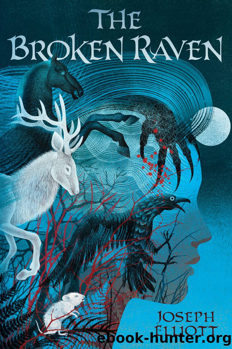 The Broken Raven by Joseph Elliott