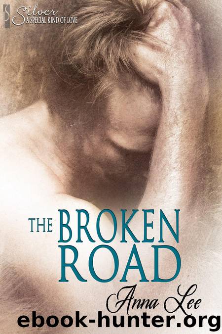 The Broken Road by Anna Lee
