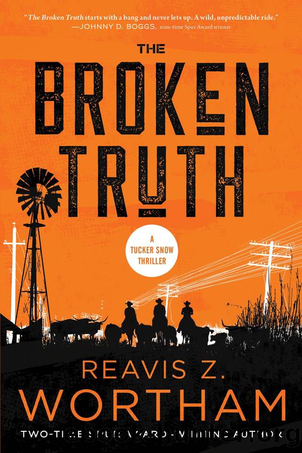 The Broken Truth by Reavis Z. Wortham