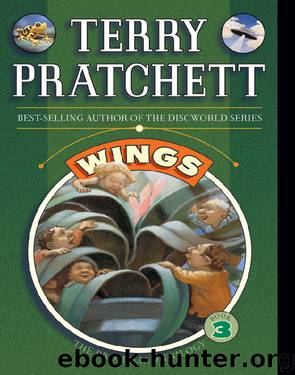 The Bromeliad Trilogy: Wings by Terry Pratchett