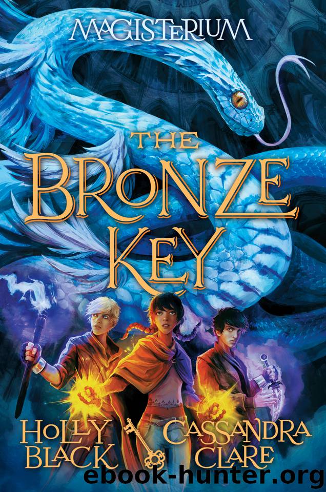 The Bronze Key by Holly Black