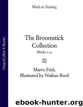 The Broomstick Collection by Maeve Friel