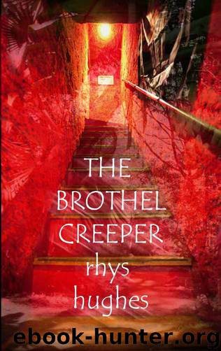 The Brothel Creeper: Stories of Sexual and Spiritual Tension by Rhys Hughes