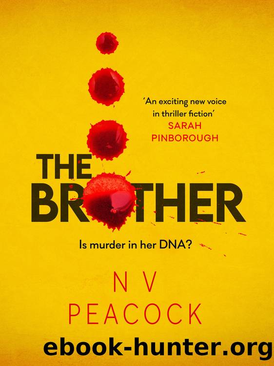 The Brother by N V Peacock