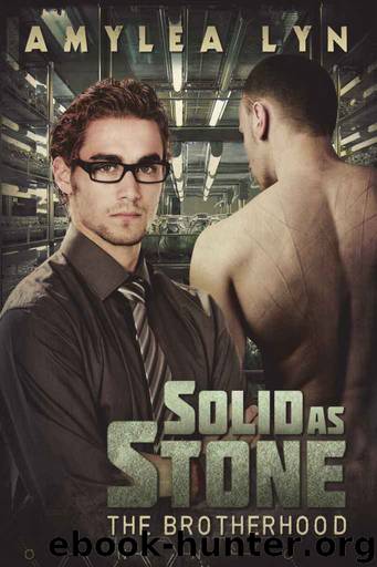 The Brotherhood 1 - Solid as Stone by Amylea Lyn