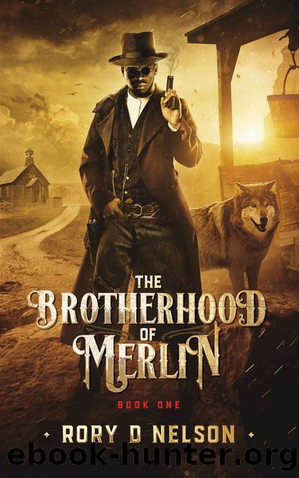 The Brotherhood of Merlin by Rory D. Nelson