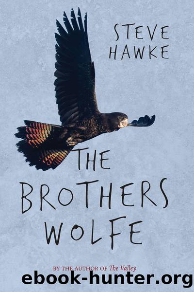 The Brothers Wolfe by Steve Hawke