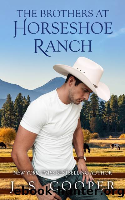 The Brothers at Horseshoe Ranch by J. S. Cooper
