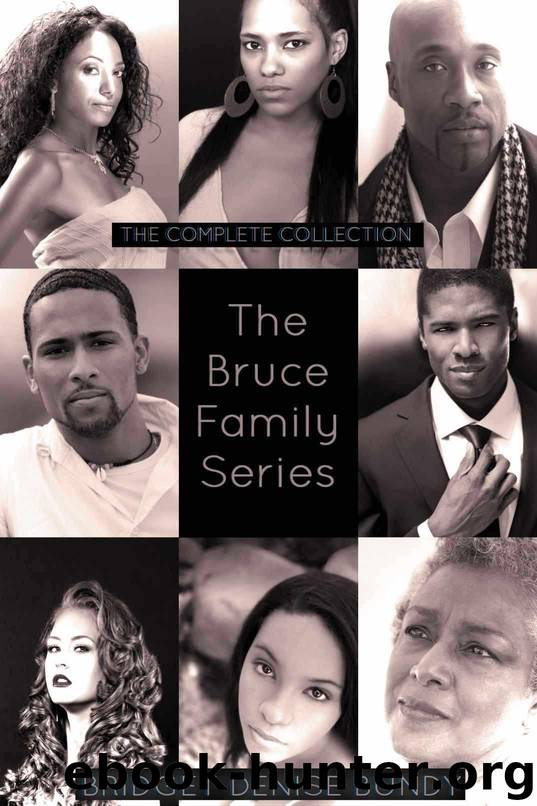 The Bruce Family Series (The Complete Collection) by Bundy Bridget Denise