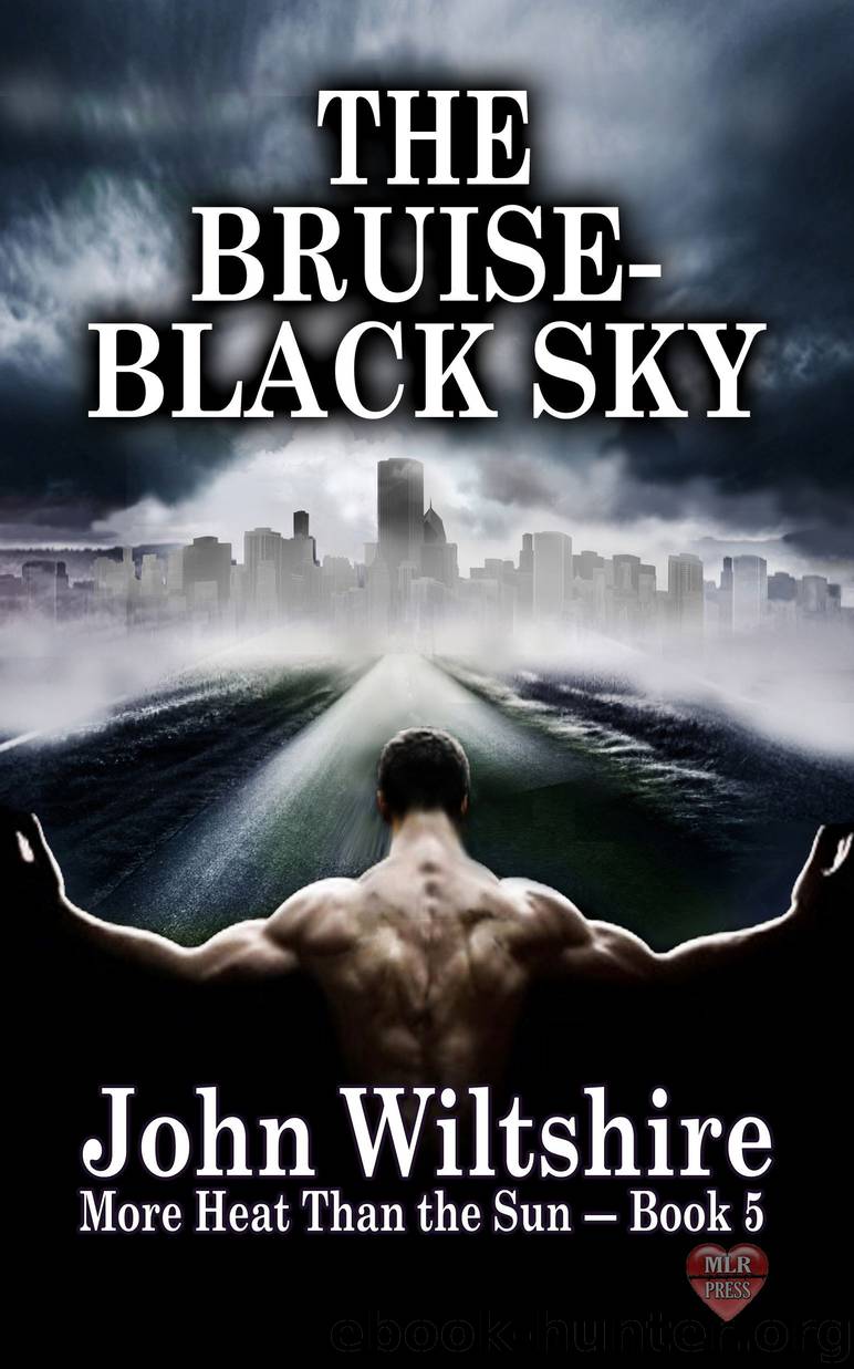 The Bruise_Black Sky by John Wiltshire