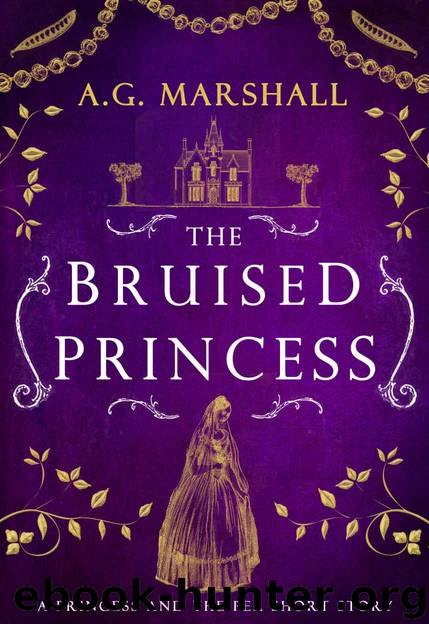The Bruised Princess by A G Marshall