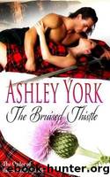 The Bruised Thistle by Ashley York