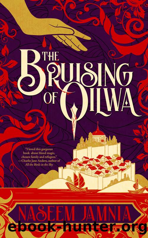 The Bruising of Qilwa by Naseem Jamnia