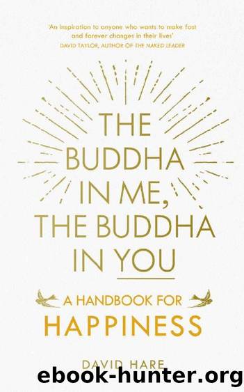 The Buddha in Me, The Buddha in You: A Handbook for Happiness by David Hare