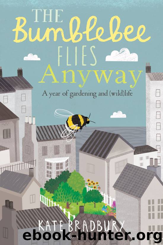 The Bumblebee Flies Anyway by Kate Bradbury
