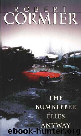The Bumblebee Flies Anyway by Robert Cormier