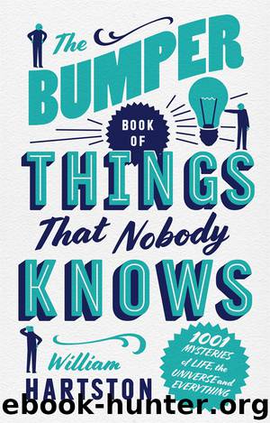 The Bumper Book of Things That Nobody Knows by William Hartston