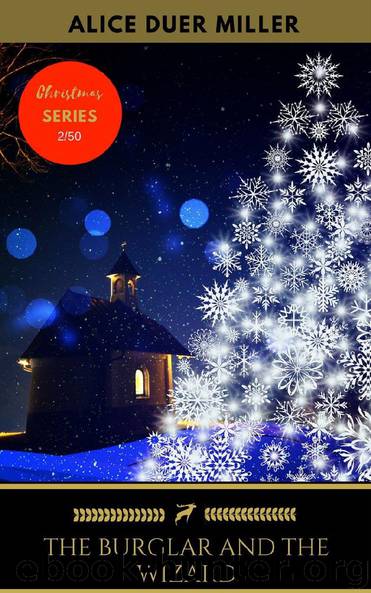 The Burglar And The Wizard by Alice Duer Miller