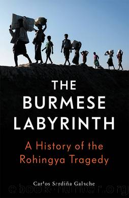 The Burmese Labyrinth by Carlos Sardina Galache