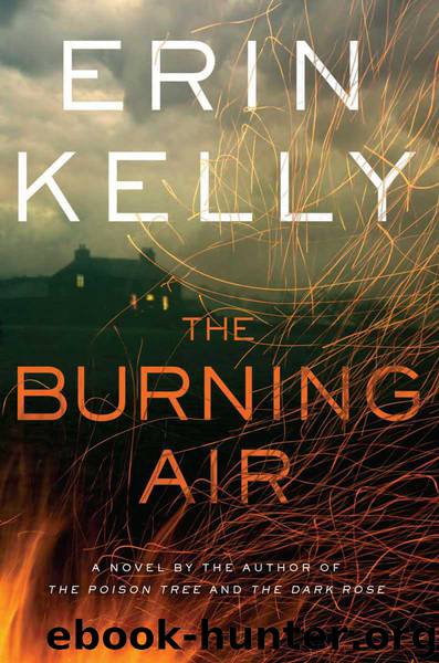The Burning Air by Erin Kelly