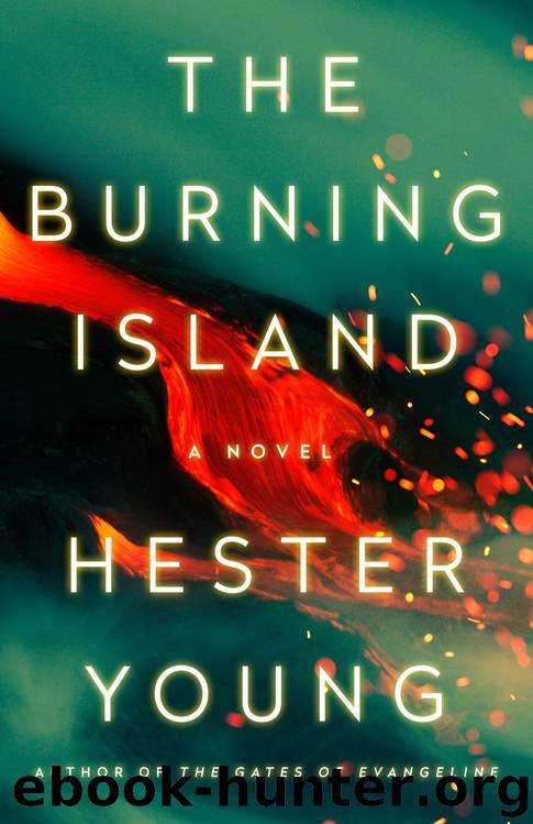 The Burning Island by Hester Young