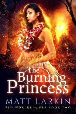 The Burning Princess by Matt Larkin