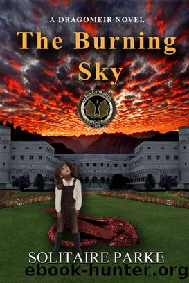 The Burning Sky by Solitaire Parke