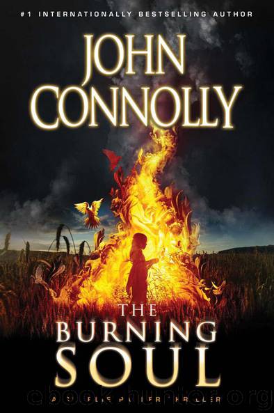 The Burning Soul: A Charlie Parker Thriller by John Connolly