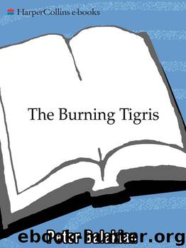The Burning Tigris by Peter Balakian