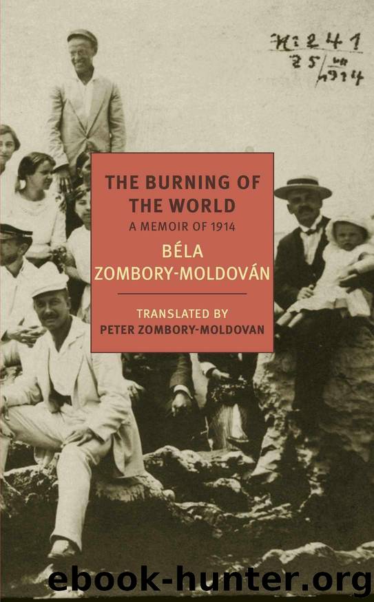 The Burning of the World by Bela Zombory-Moldovan