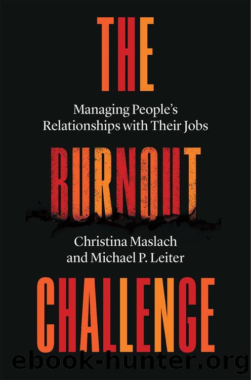 The Burnout Challenge by Christina Maslach
