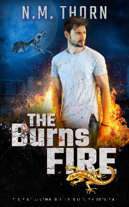 The Burns Fire by N. M. Thorn