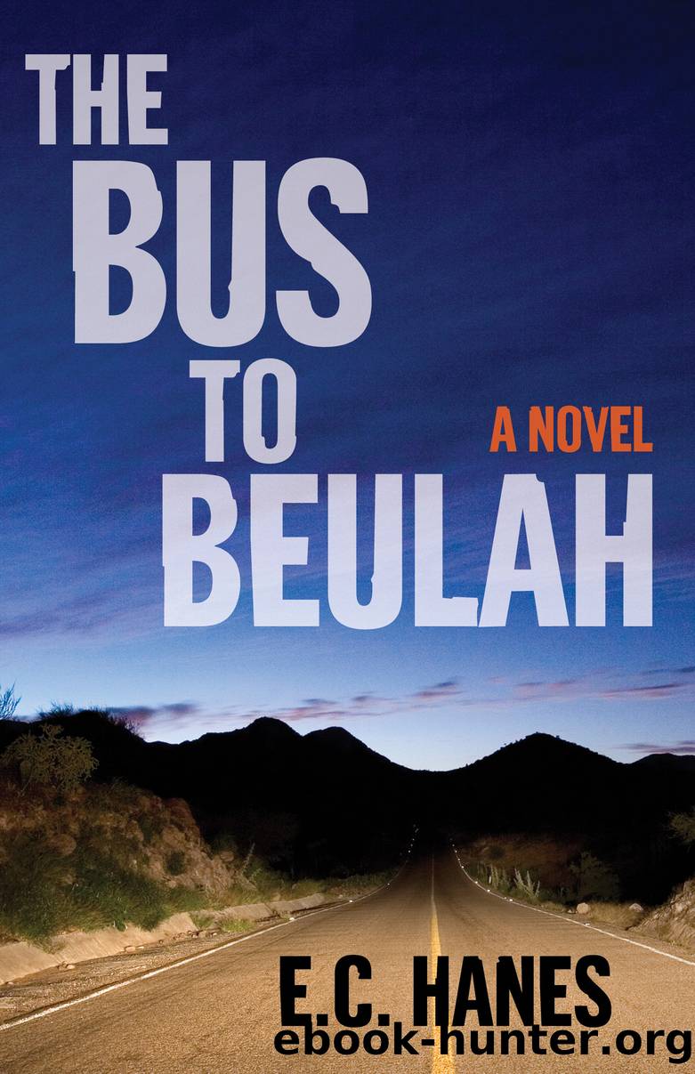 The Bus to Beulah by Eldridge Hanes